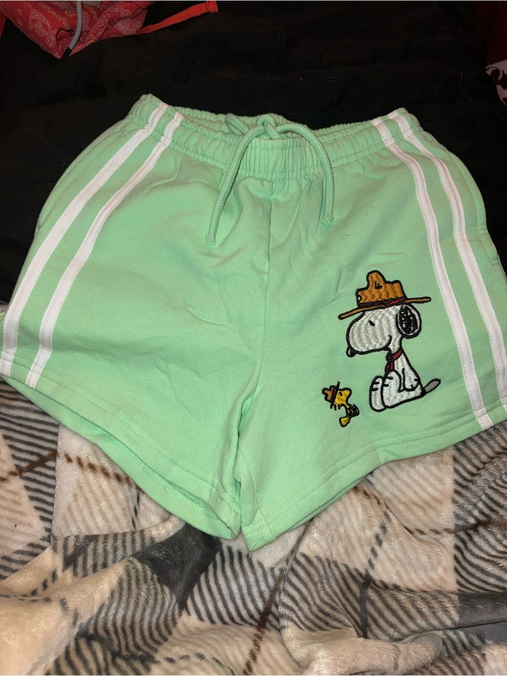 No Boundaries Mint Green Snoopy Embroidered Bike Shorts